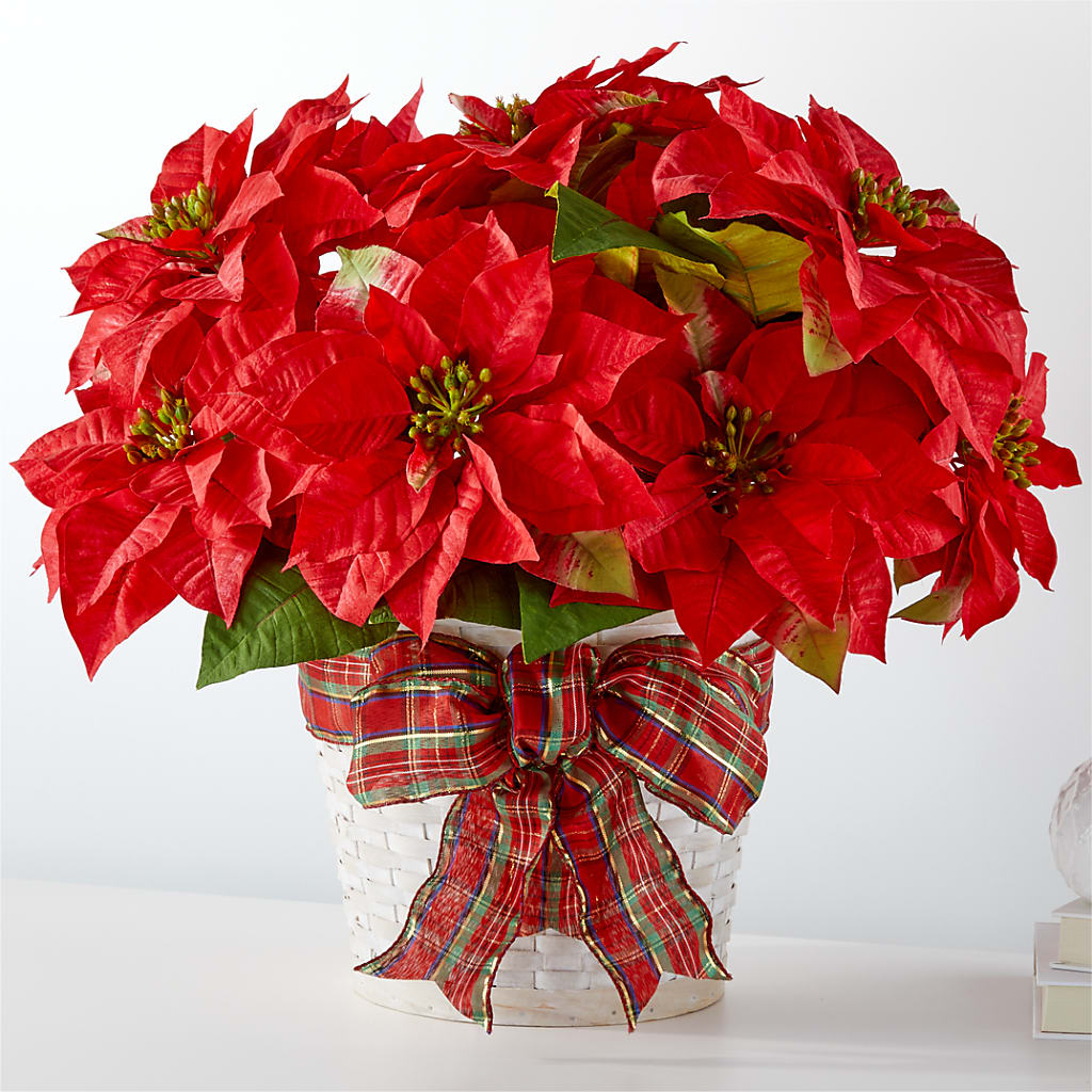 Happiest Holidays Poinsettia – Showcase Flowers, San Francisco CA