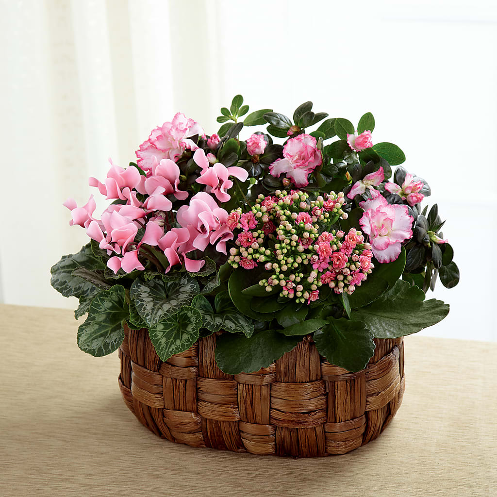 Pink Assortment – Showcase Flowers, San Francisco CA