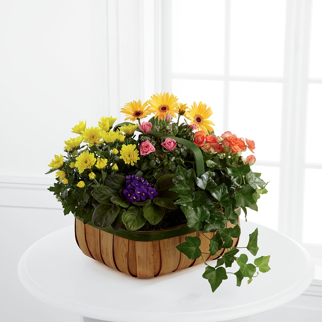 Gentle Blossoms Basket – Showcase Flowers, San Francisco CA