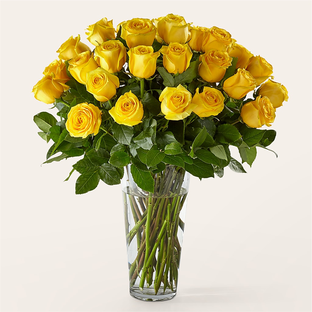 Long Stem Yellow Rose Bouquet – Showcase Flowers, San Francisco CA
