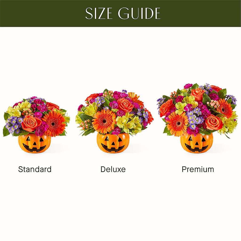 Tricks & Treats Pumpkin – Showcase Flowers, San Francisco CA