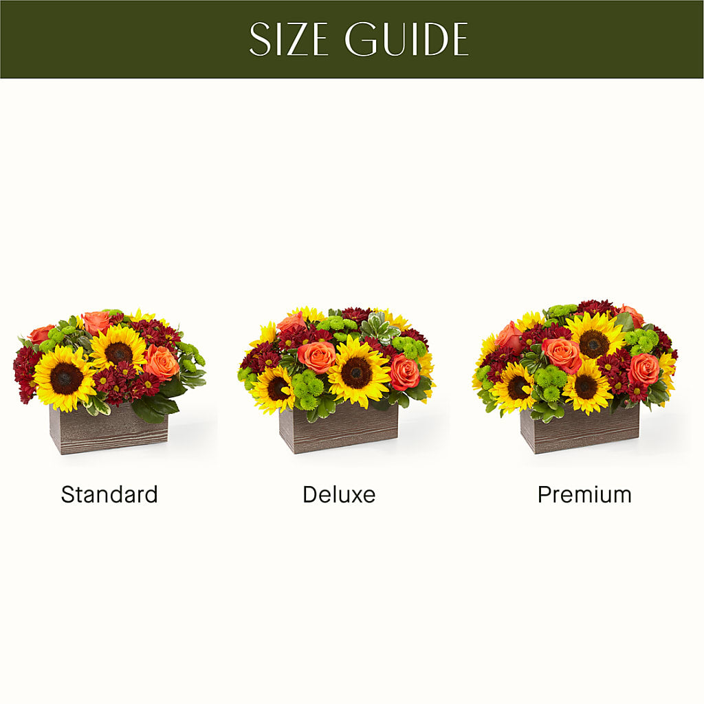 Happy Harvest Garden – Showcase Flowers, San Francisco CA