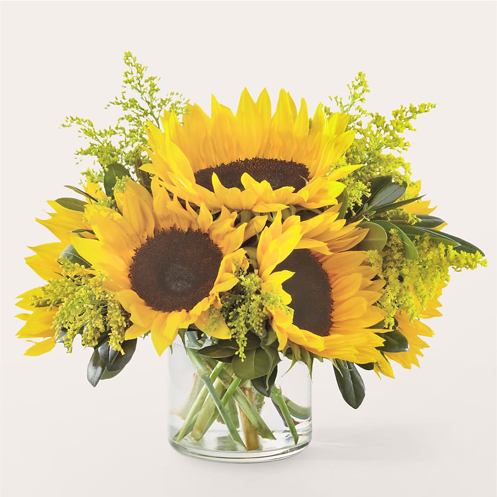 Beaming Sunflower Bouquet – Showcase Flowers, San Francisco CA