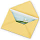 Greeting Card – Showcase Flowers, San Francisco CA