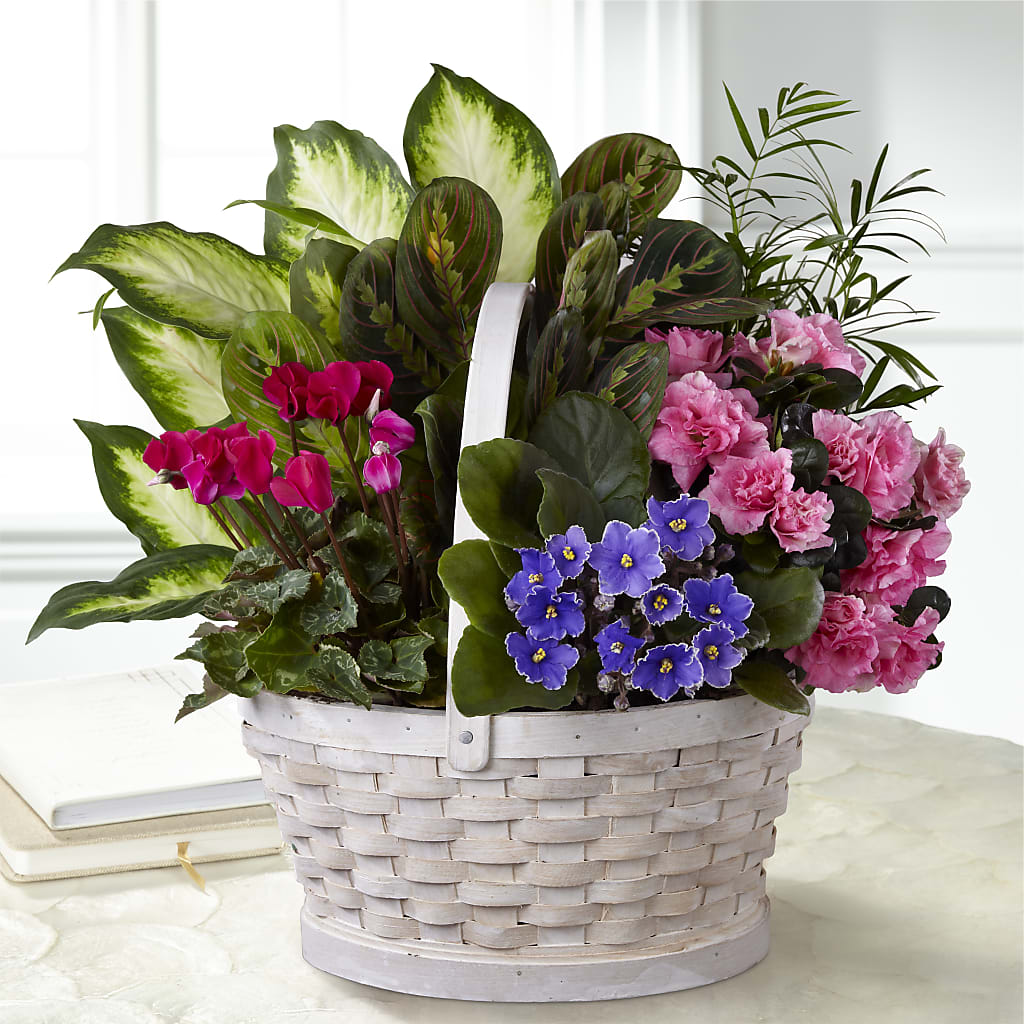 Peaceful Garden Planter – Showcase Flowers, San Francisco CA