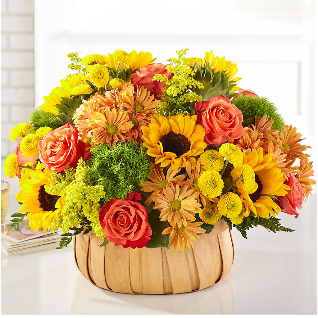 Harvest Sunflower Basket – Showcase Flowers, San Francisco CA