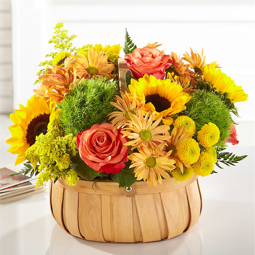 Harvest Sunflower Basket – Showcase Flowers, San Francisco CA