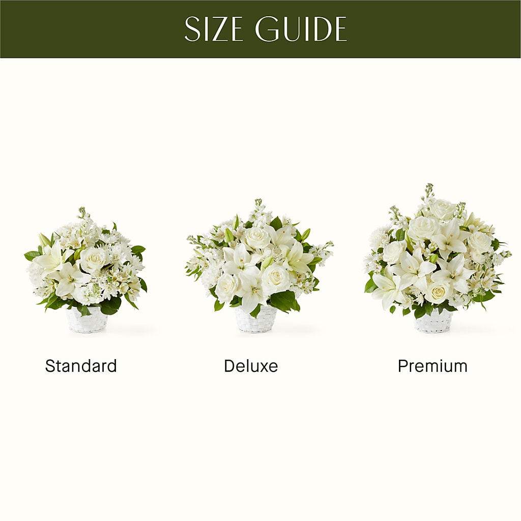 Peaceful Reflections Arrangement – Showcase Flowers, San Francisco CA