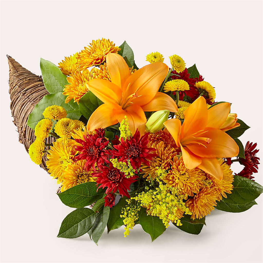 Feast of Color Cornucopia – Showcase Flowers, San Francisco CA