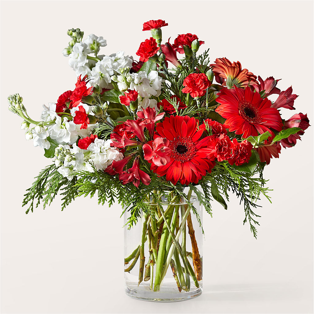 Holidaisy Bouquet – Showcase Flowers, San Francisco CA