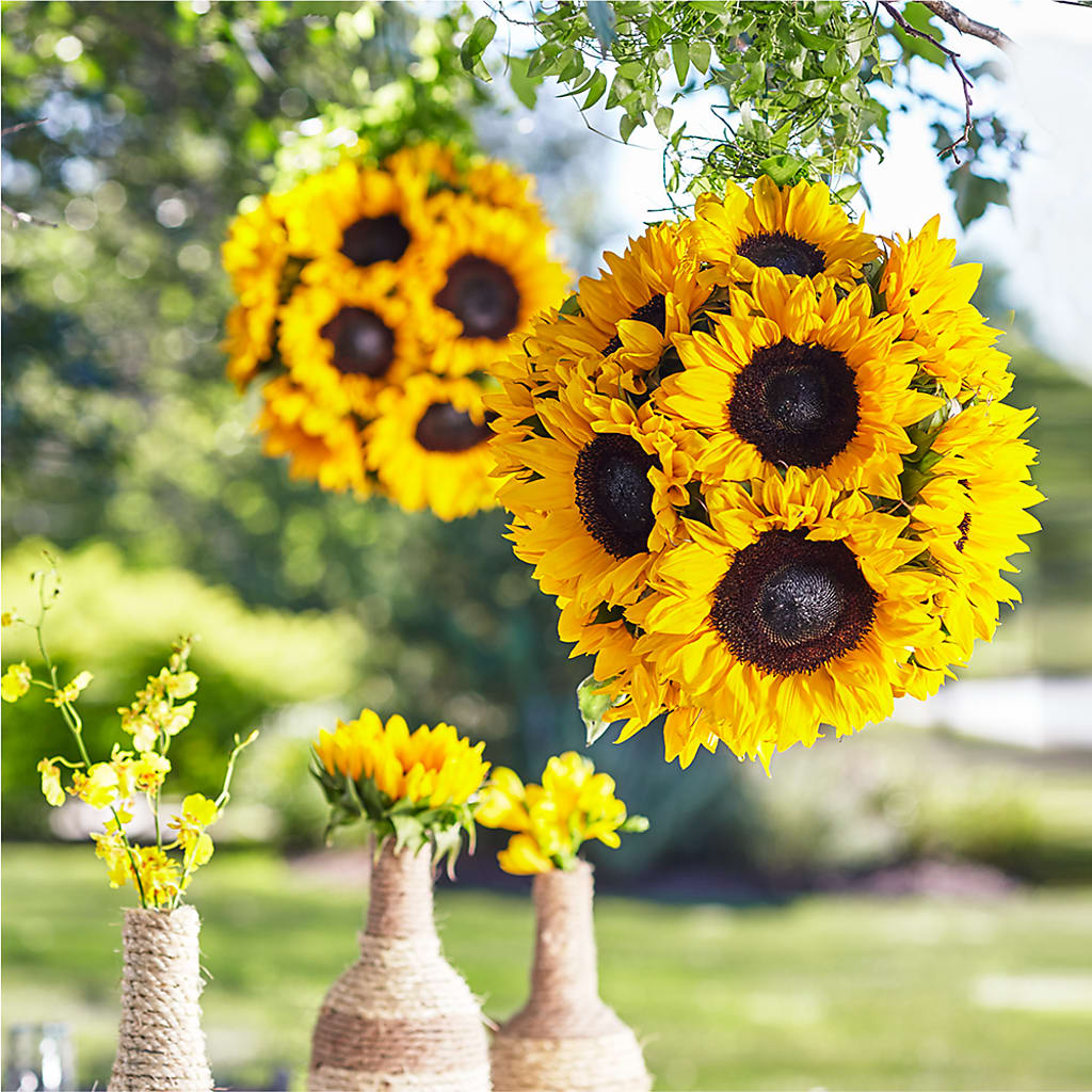 Sublime Garden Hanging Arrangement – Showcase Flowers, San Francisco CA