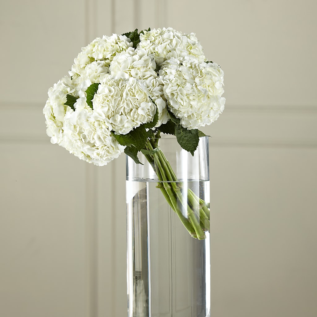 White Hydrangea Hand-Tied Bouquet – Showcase Flowers, San Francisco CA