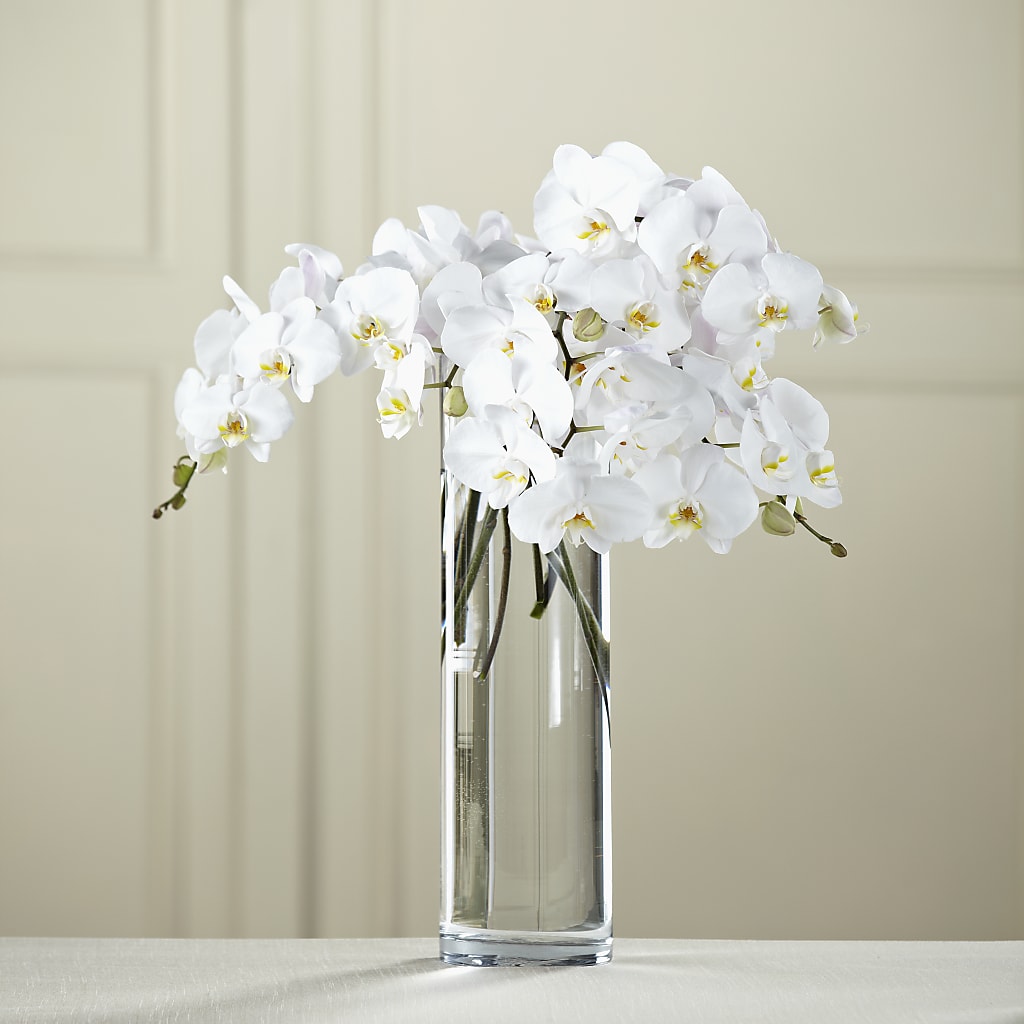 White Phalaenopsis Bouquet – Showcase Flowers, San Francisco CA