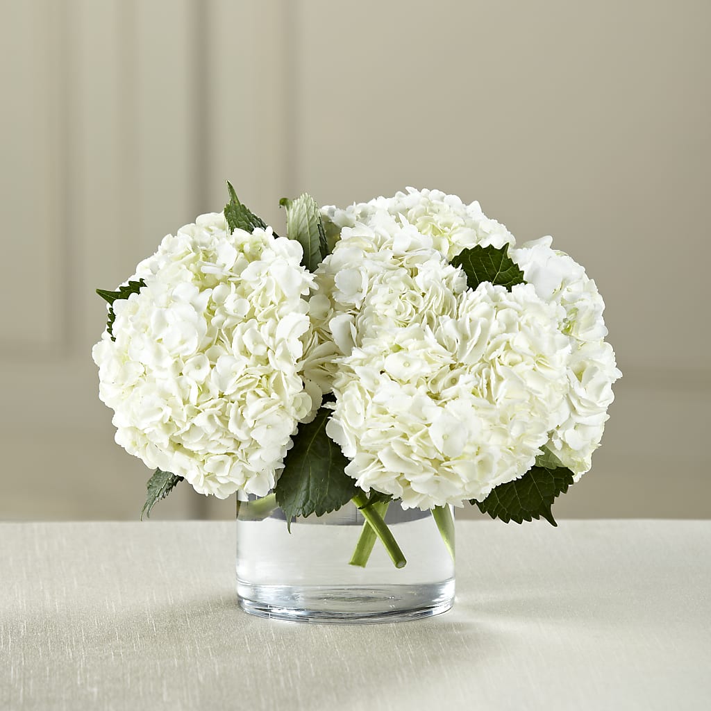 White Hydrangea Bouquet – Showcase Flowers, San Francisco CA