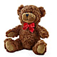 Adorable Plush Bear –  Showcase Flowers, San Francisco CA