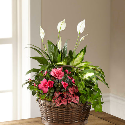 Dream in Pink Dishgarden –  Showcase Flowers, San Francisco CA