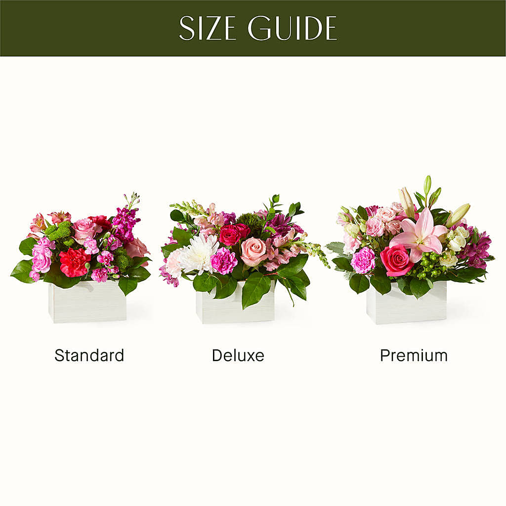 Sweetberry Box – A Florist Original –  Showcase Flowers, San Francisco CA