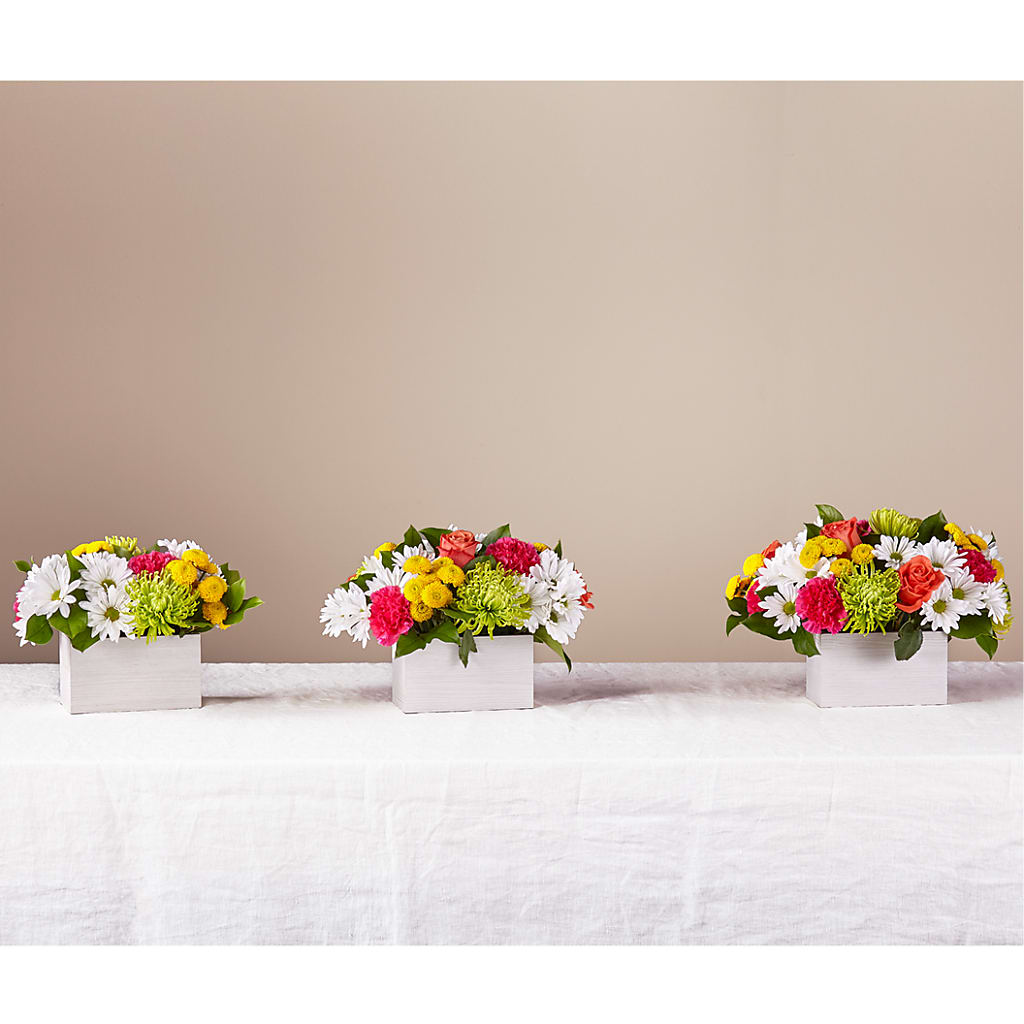 Sorbet Bouquet –  Showcase Flowers, San Francisco CA