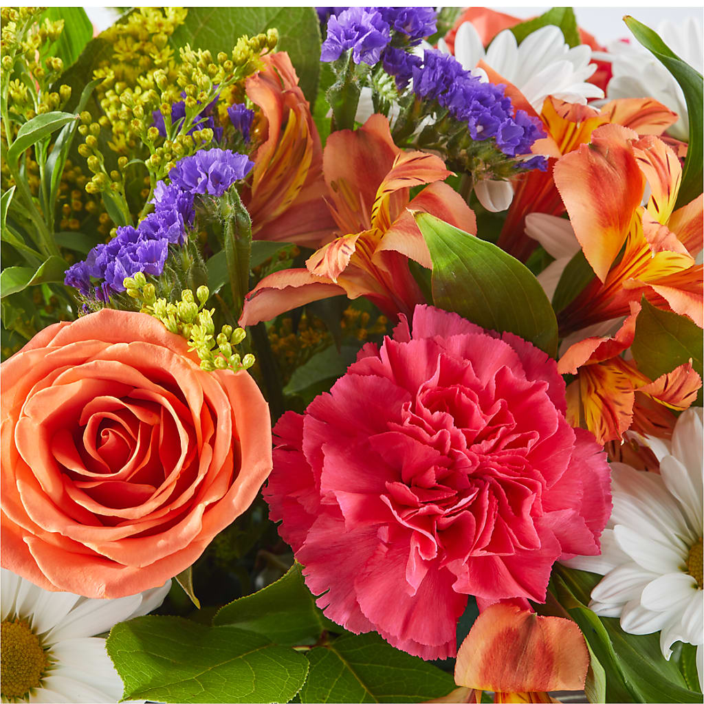 Oopsie Daisy Box Bouquet –  Showcase Flowers, San Francisco CA