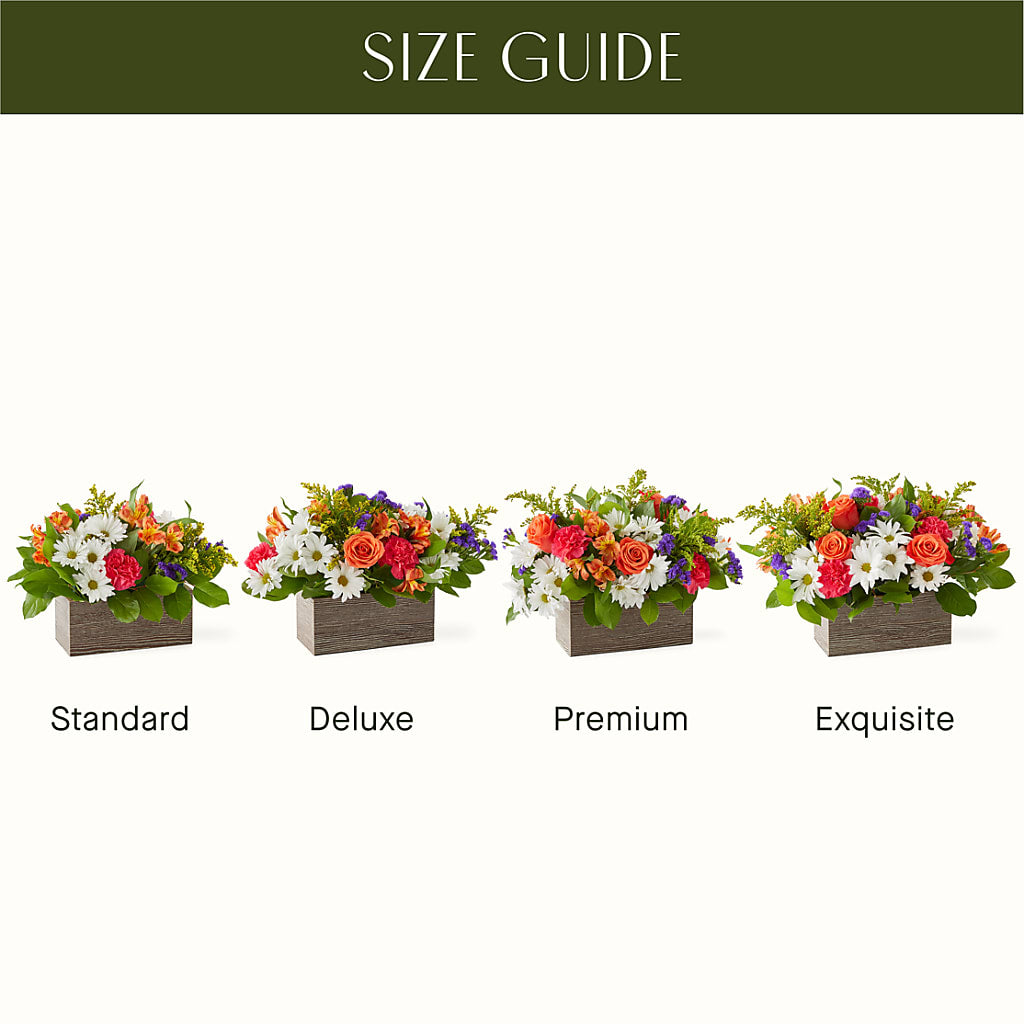 Oopsie Daisy Box Bouquet –  Showcase Flowers, San Francisco CA