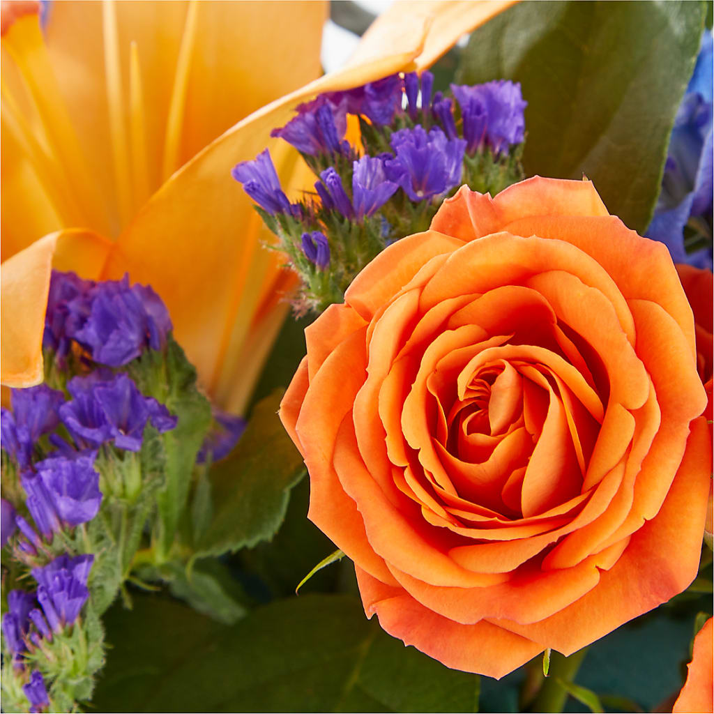 Radiant Citrus Box Bouquet –  Showcase Flowers, San Francisco CA