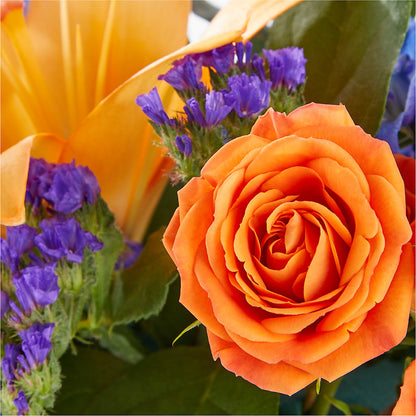 Radiant Citrus Box Bouquet –  Showcase Flowers, San Francisco CA