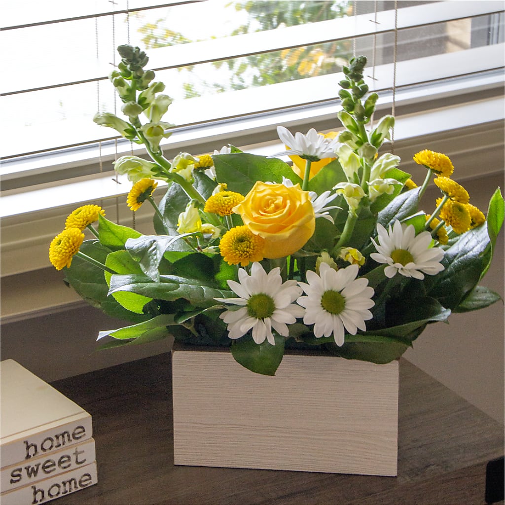 Sun Salutation Box Bouquet –  Showcase Flowers, San Francisco CA