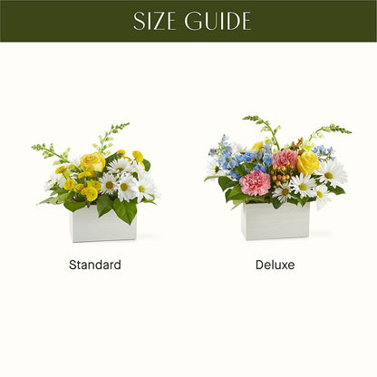 Sun Salutation Box Bouquet –  Showcase Flowers, San Francisco CA
