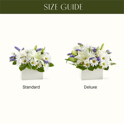 Beyond Blue Box Bouquet –  Showcase Flowers, San Francisco CA