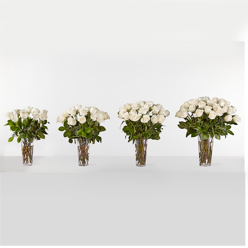 Long Stem White Rose Bouquet –  Showcase Flowers, San Francisco CA