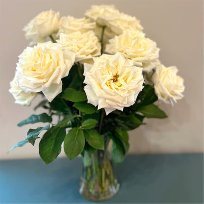 Long Stem Yellow Rose Bouquet –  Showcase Flowers, San Francisco CA
