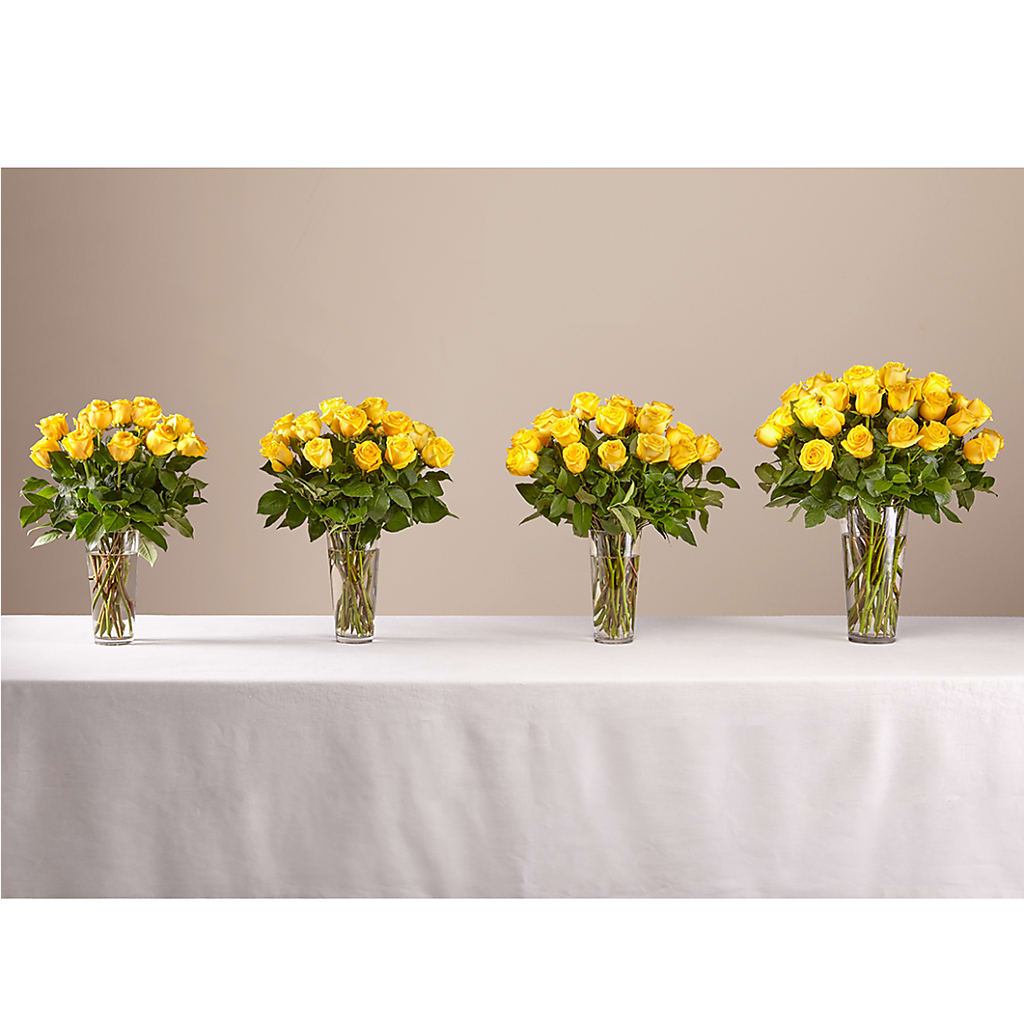Long Stem Yellow Rose Bouquet –  Showcase Flowers, San Francisco CA