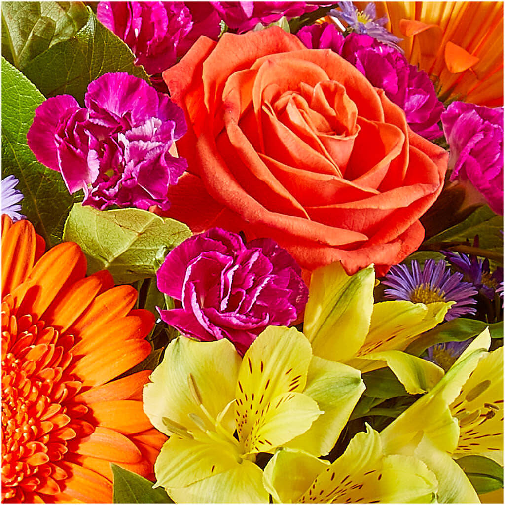 Tricks & Treats Pumpkin –  Showcase Flowers, San Francisco CA