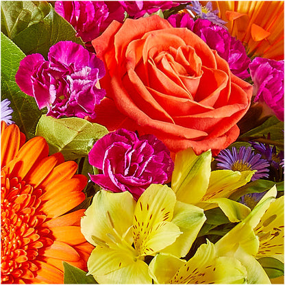 Tricks & Treats Pumpkin –  Showcase Flowers, San Francisco CA