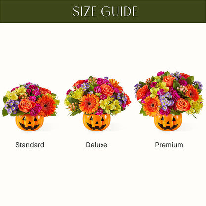 Tricks & Treats Pumpkin –  Showcase Flowers, San Francisco CA