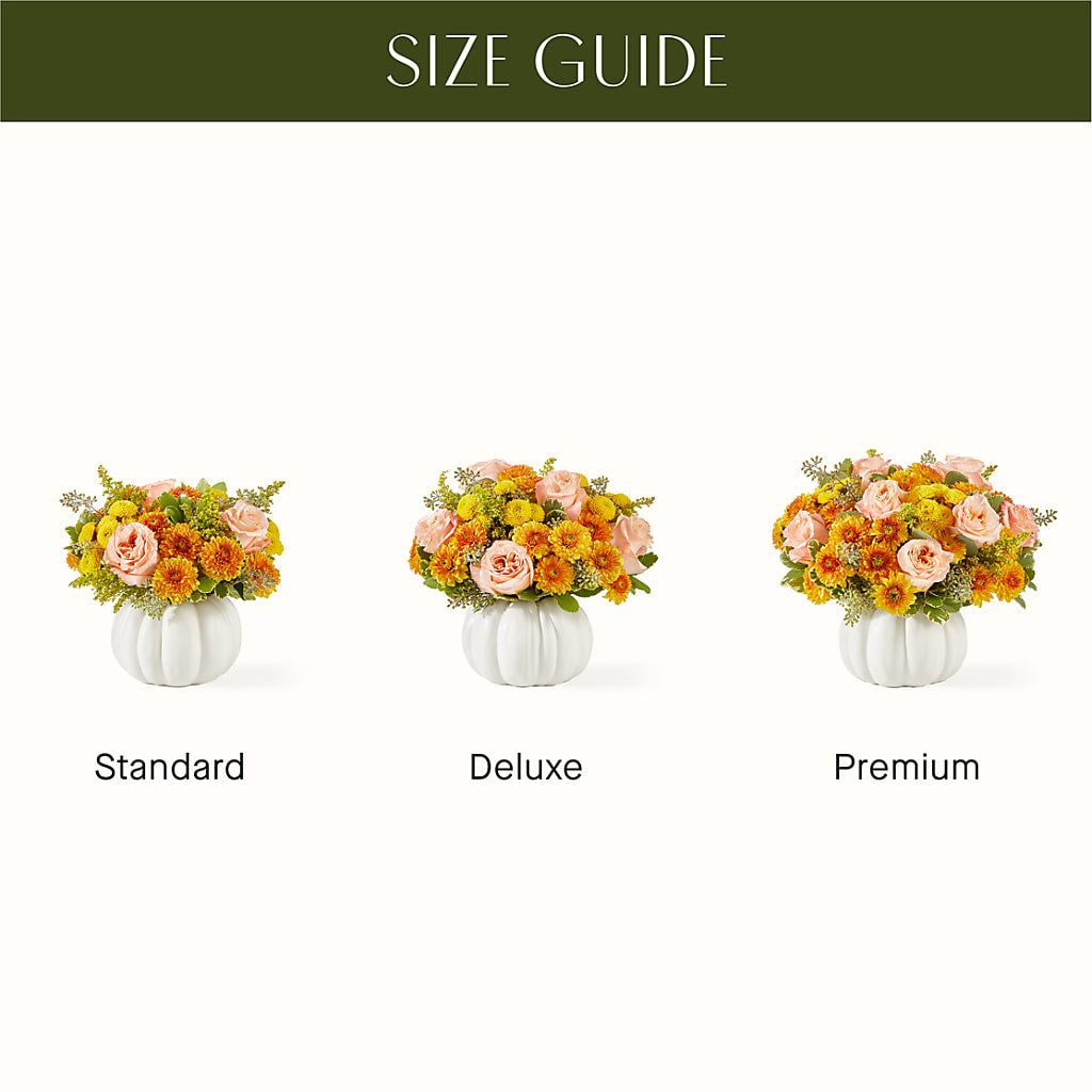 Peachy Pumpkin –  Showcase Flowers, San Francisco CA