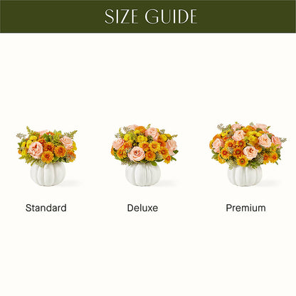 Peachy Pumpkin –  Showcase Flowers, San Francisco CA