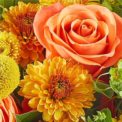 Gourdgeous Pumpkin –  Showcase Flowers, San Francisco CA