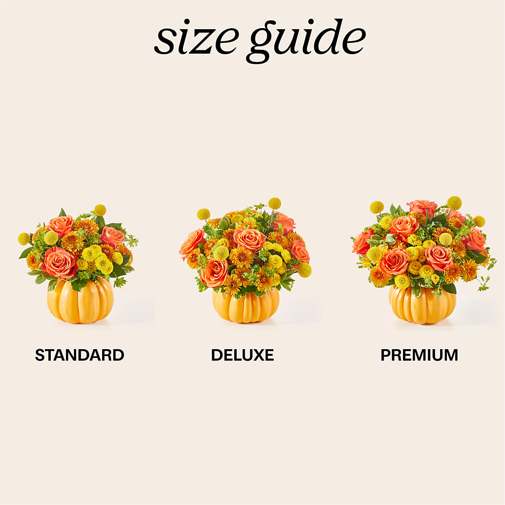 Gourdgeous Pumpkin –  Showcase Flowers, San Francisco CA