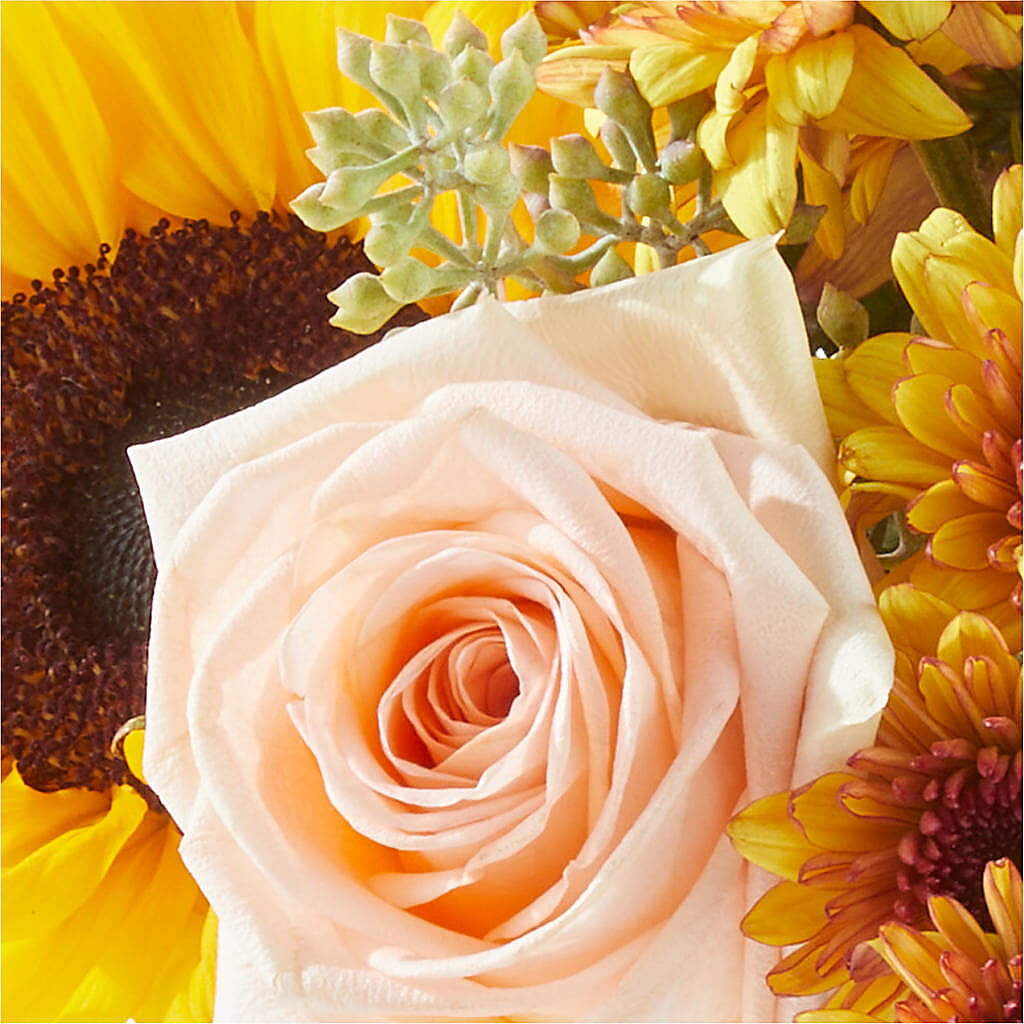 Pumpkin to Talk About Bouquet –  Showcase Flowers, San Francisco CA