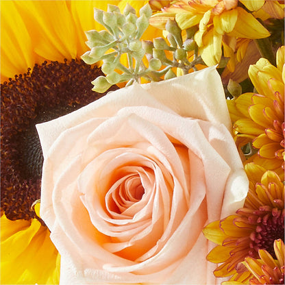 Pumpkin to Talk About Bouquet –  Showcase Flowers, San Francisco CA