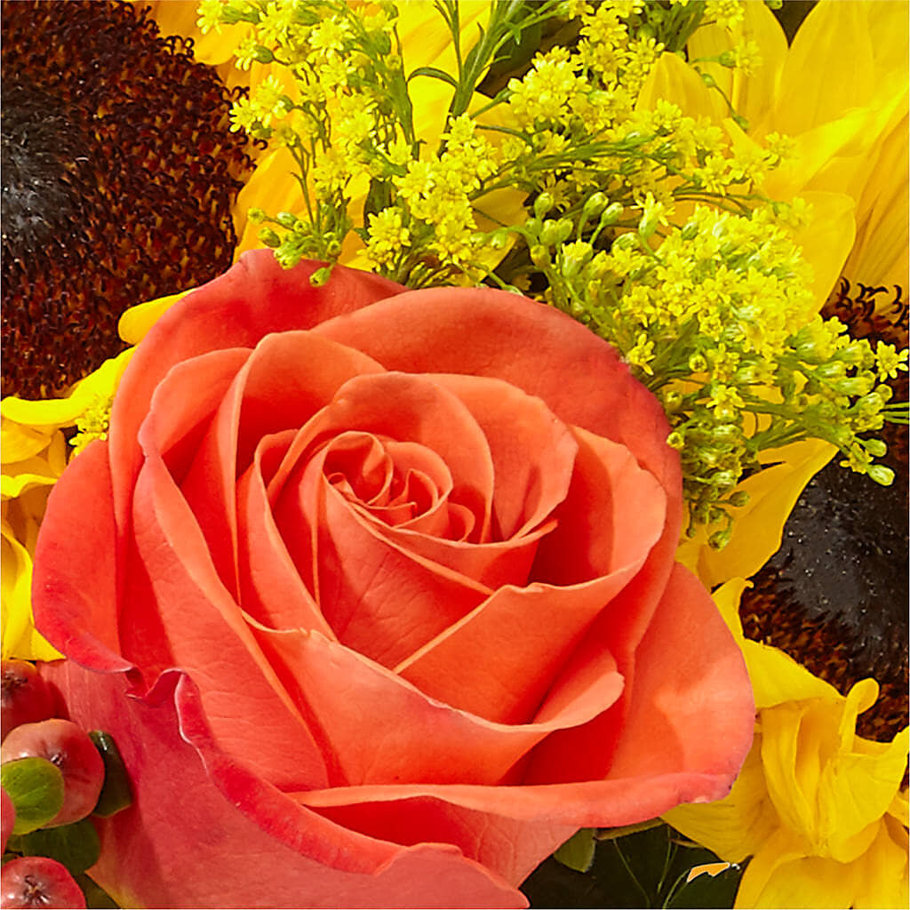 Pick of the Patch Pumpkin Bouquet –  Showcase Flowers, San Francisco CA