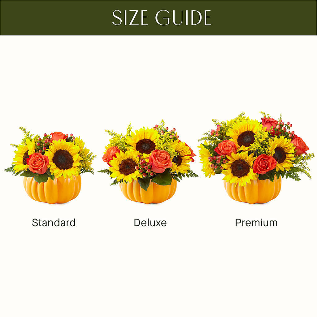 Pick of the Patch Pumpkin Bouquet –  Showcase Flowers, San Francisco CA