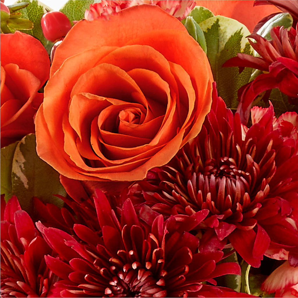 Autumn Air Pumpkin Bouquet –  Showcase Flowers, San Francisco CA
