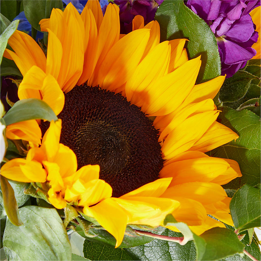 Catching Rays Bouquet –  Showcase Flowers, San Francisco CA