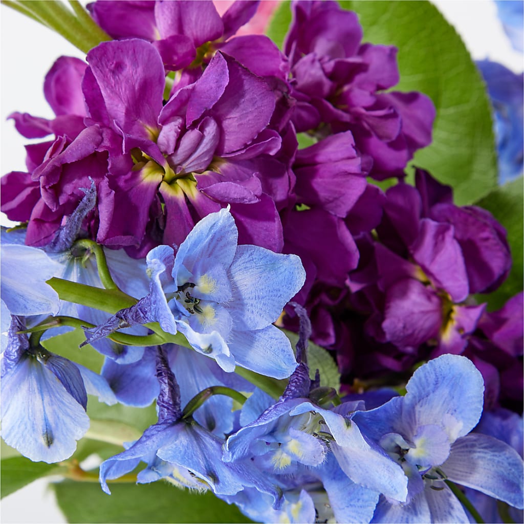Twilight Glow Bouquet –  Showcase Flowers, San Francisco CA