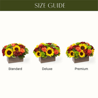 Happy Harvest Garden –  Showcase Flowers, San Francisco CA