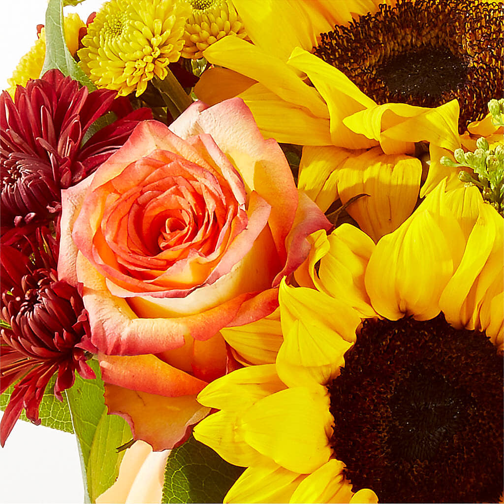 Golden Gourd Pumpkin Bouquet –  Showcase Flowers, San Francisco CA