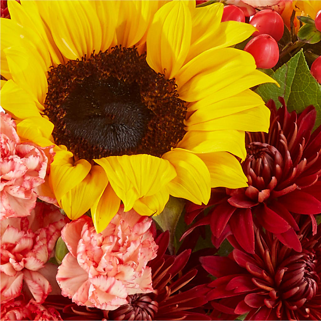 Fresh Cider Bouquet –  Showcase Flowers, San Francisco CA