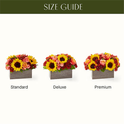 Fresh Cider Bouquet –  Showcase Flowers, San Francisco CA